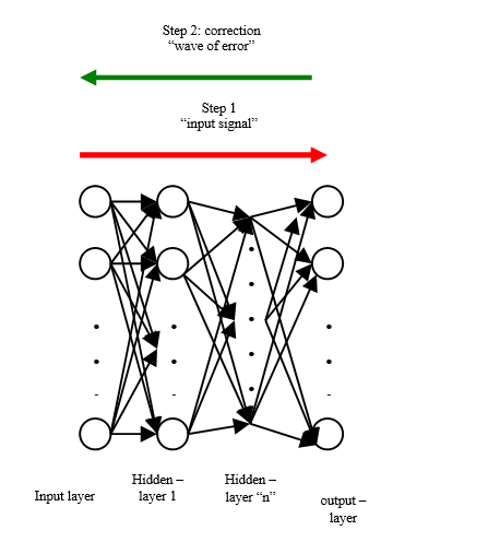 Neural network architecture diagram with input, hidden, and output layers, representative of the transformer blocks that make up small language models