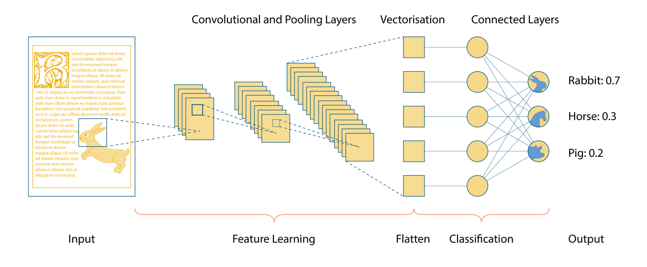 Diagram of a convolutional neural network showing convolution, pooling, and classification layers