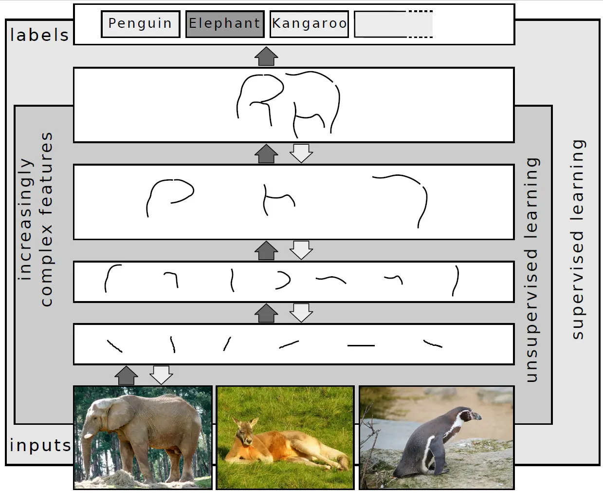 Deep learning neural network diagram illustrating the architecture of language models deployed at the industrial edge