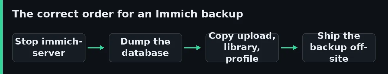 Diagram of the correct order for an Immich backup: stop immich-server, dump the PostgreSQL database, copy upload, library and profile, then ship the backup off-site.