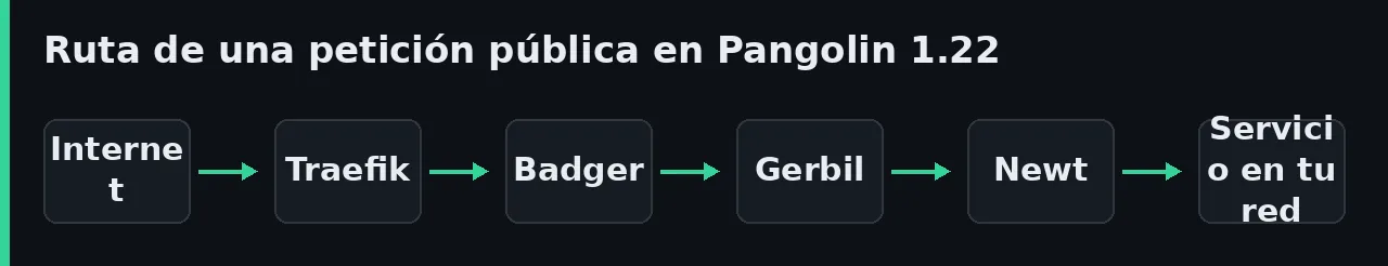 Diagram of a public request path in Pangolin: Internet, Traefik, Badger, Gerbil, the Newt connector and finally the service hosted on your own network.