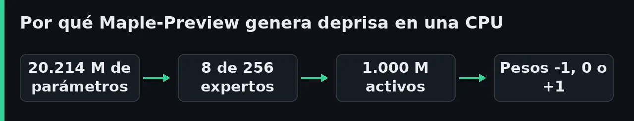 Diagrama de por qué Maple-Preview rinde en una CPU: 20.214 millones de parámetros, 8 de 256 expertos por token, unos 1.000 millones activos y pesos de -1, 0 o +1.