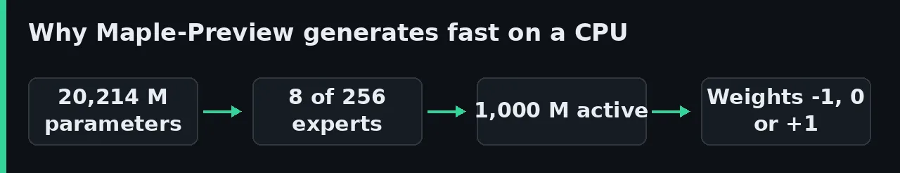 Diagram of why Maple-Preview performs on a CPU without a GPU: 20,214 million parameters, 8 of 256 experts per token, about 1,000 million active and weights of -1, 0 or +1.