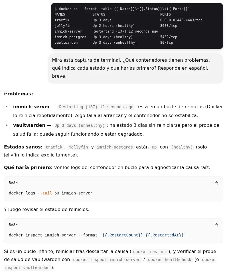 MiMo-V2.6-Distill-Qwen-9B lee una salida de docker ps en la interfaz web de llama.cpp v0.5.0. Señala immich-server en bucle de reinicios y vaultwarden con el control de salud fallando.